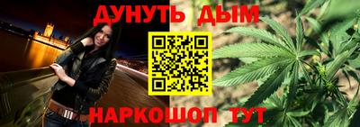 спиды Гай