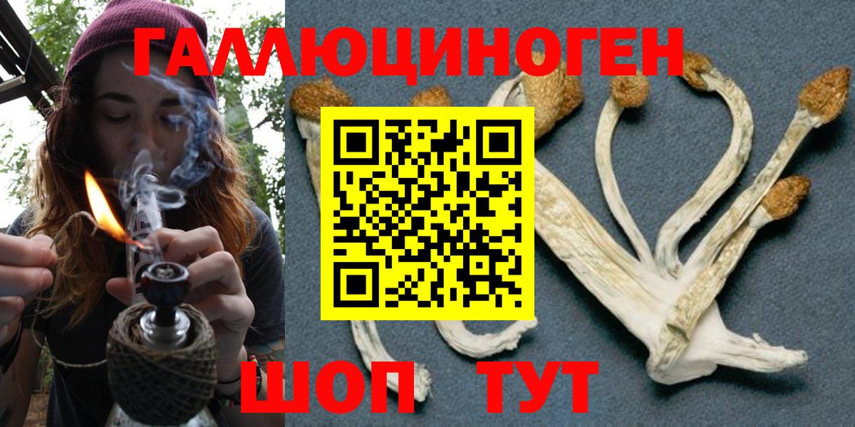 Псилоцибиновые грибы GOLDEN TEACHER Заводоуковск